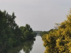 -大湾区中央湿地公园-十九涌