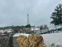 -白水寺森林公园