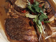 -新侨小馆(东直门北小街店)