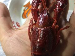 -霸王虾·麻辣小龙虾(清水河公园店)