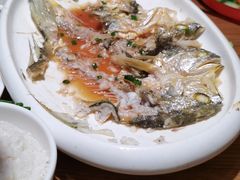 -吕氏疙瘩汤·新派鲁菜(济南万象城店)