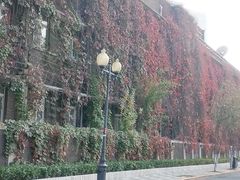 -天津五大道文化旅游区