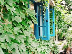 -野蔓果·山野菜(西湖景区·龙井茶田店)