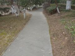 -玉山公园