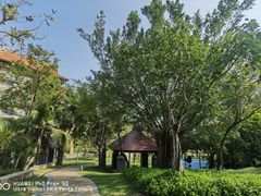 -三亚海棠湾万丽度假酒店