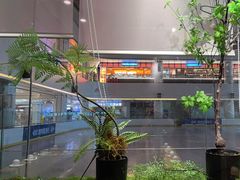 -吉庆莲年有鱼炭烤鱼(苏宁广场店)