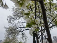 -堤角公园
