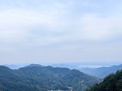 -十八棵（老龙井）御茶园(老龙井店)