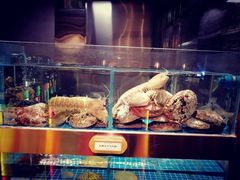 -ONE FULL 古董港式海鲜火锅