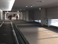 -中部国际机场