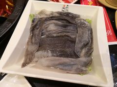 特色鲜毛肚-宽板凳老灶火锅(外馆斜街店)