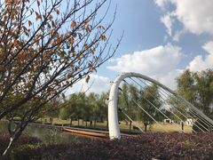 -同济大学(嘉定校区)