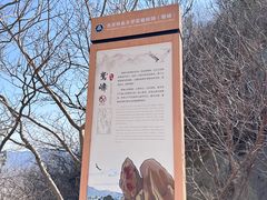 -鹫峰国家森林公园