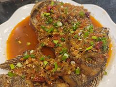 -草墩罗非鱼庄•野生菌•腊排骨(七星街上段店)