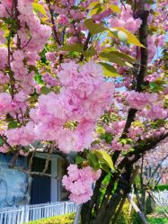 -WAVE SODA摄影工作室