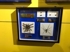 -上海昆虫博物馆