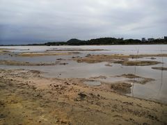 -鹤之洲湿地公园