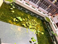 -长洲岛