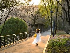 -西湖风景区-江洋畈生态公园