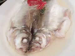 清蒸太湖白鱼-鱼食饭稻·苏浙土菜17年老馆子(平江路店)