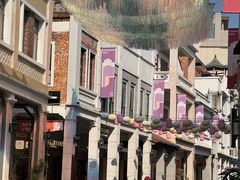 -莞翟蔴茶王(东莞记忆店)