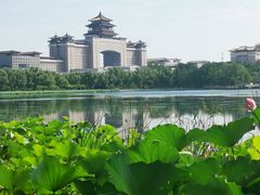 -莲花池公园