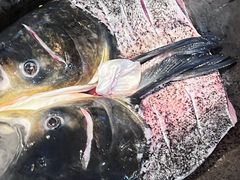 -好灶头妈妈菜·千岛湖土菜地标美食