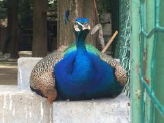 -南京金牛湖风景区