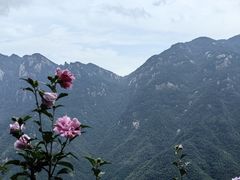 -九华山聚龙大酒店