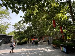 -大槐树寻根祭祖园