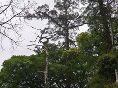 -南华禅寺
