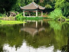 -叶家花园