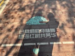 -宝安西湾红树林湿地公园