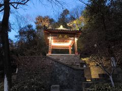 -北极阁公园