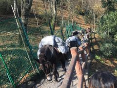 -藏龙百瀑风景区
