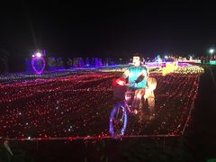 -杭州湾海上花田景区