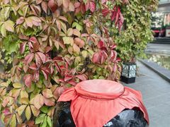 -蔓兰家的四季S0餐厅·融合菜(当代MOMA店)