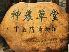 -广州神农草堂中医药博物馆