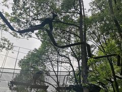 -WeLope紫金山探险公园