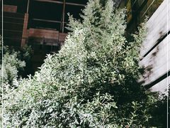 -浙江工业大学（朝晖校区）-游泳馆