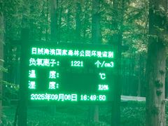 -日照海滨国家森林公园