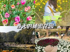 -无锡梅园公园