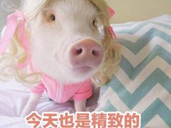 -易生活购物公园