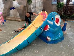 -南宫温泉水世界