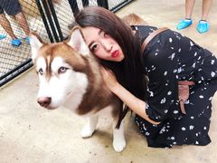 -TrueLove @ Neverland (Husky Cafe)