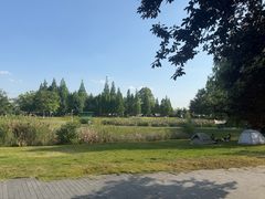 -两河城市森林公园