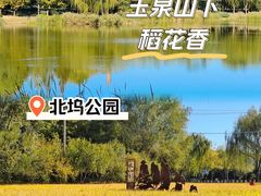 -北坞公园