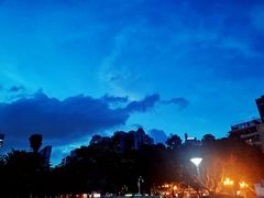 -珠江夜游省总码头