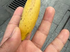 -长洲岛