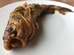 -帐篷客·溪龙茶谷度假酒店